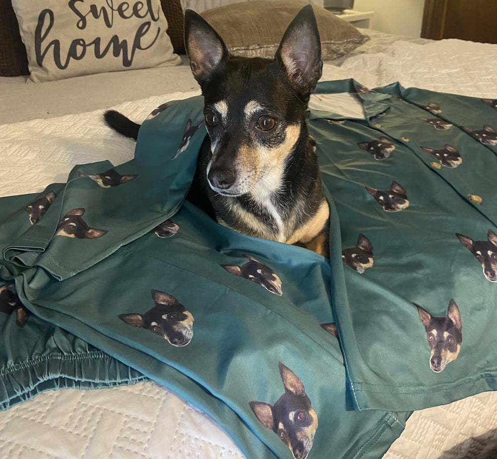 <h1>Loved by 50,000+ Pets & their Hoomans</h1>