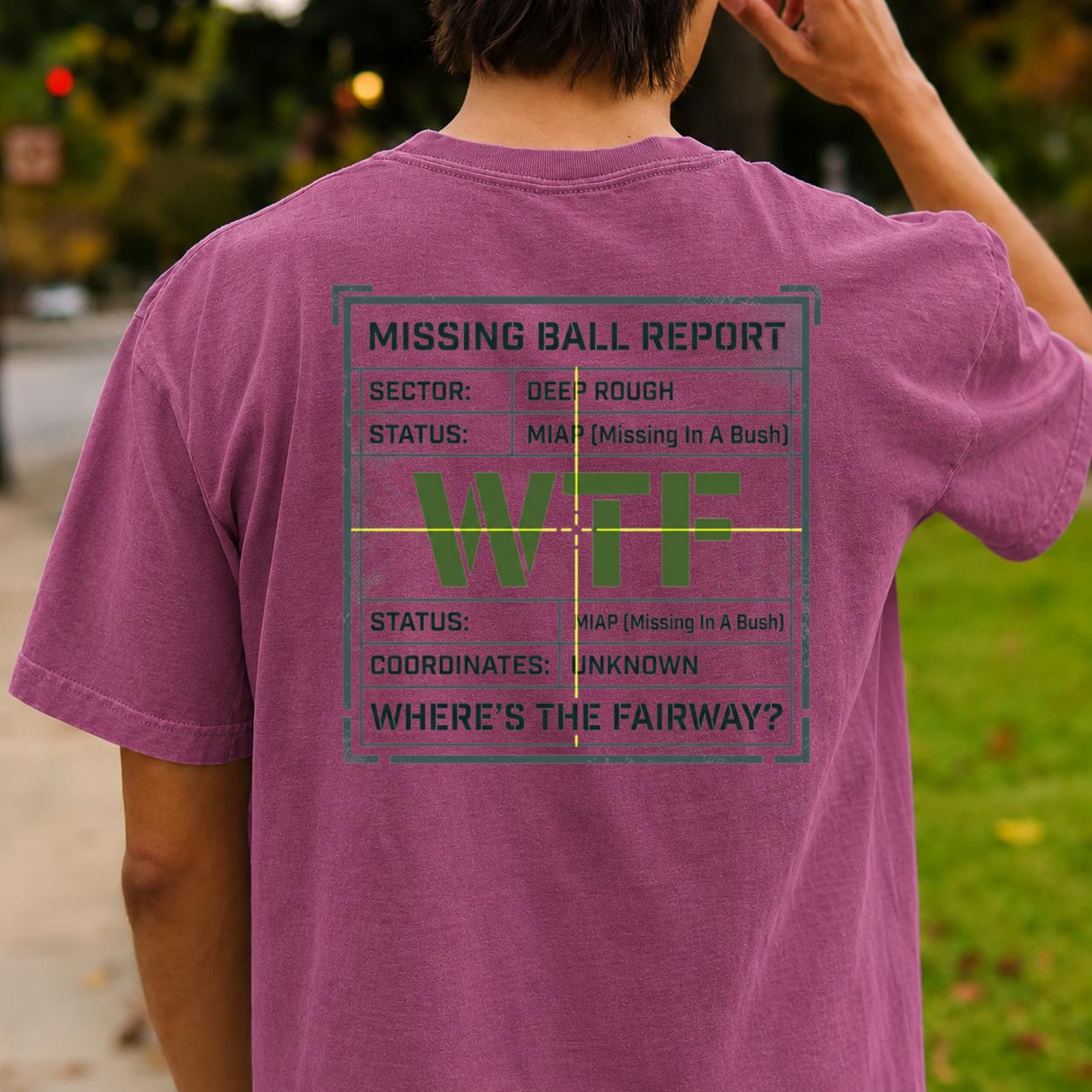 Missing Ball Report