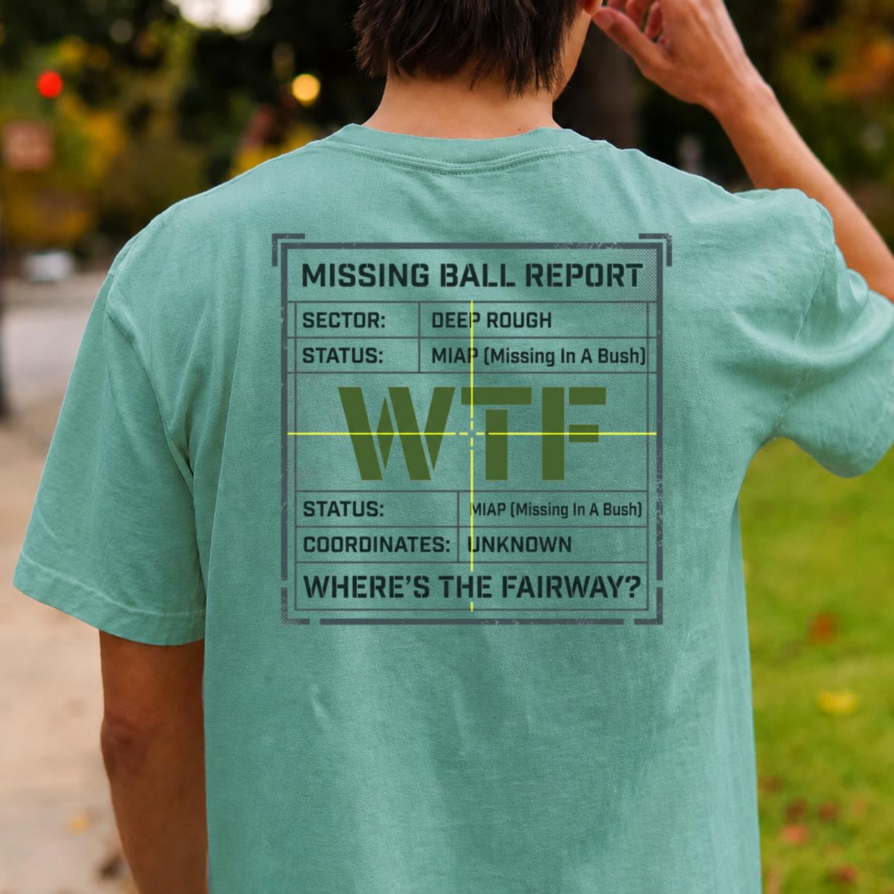 Missing Ball Report