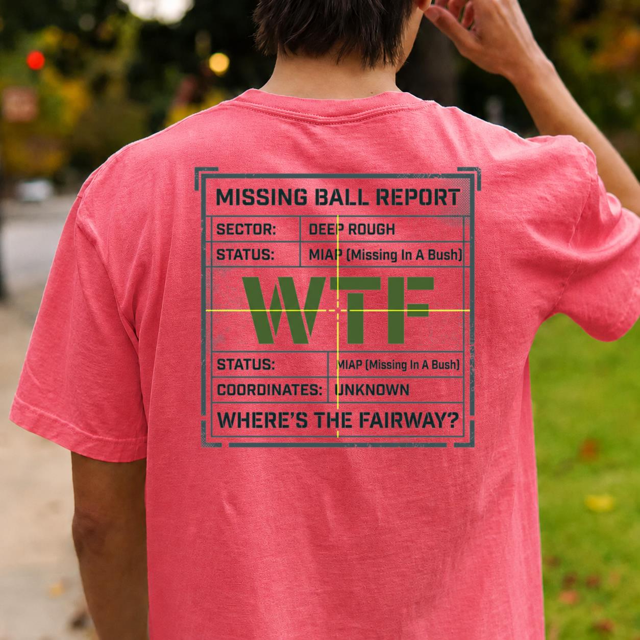 Missing Ball Report