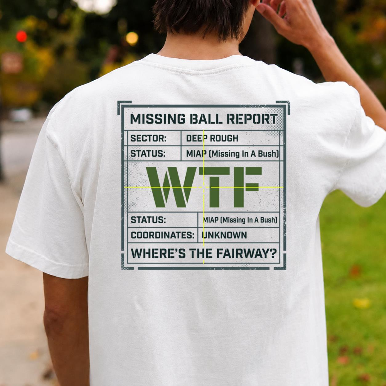 Missing Ball Report
