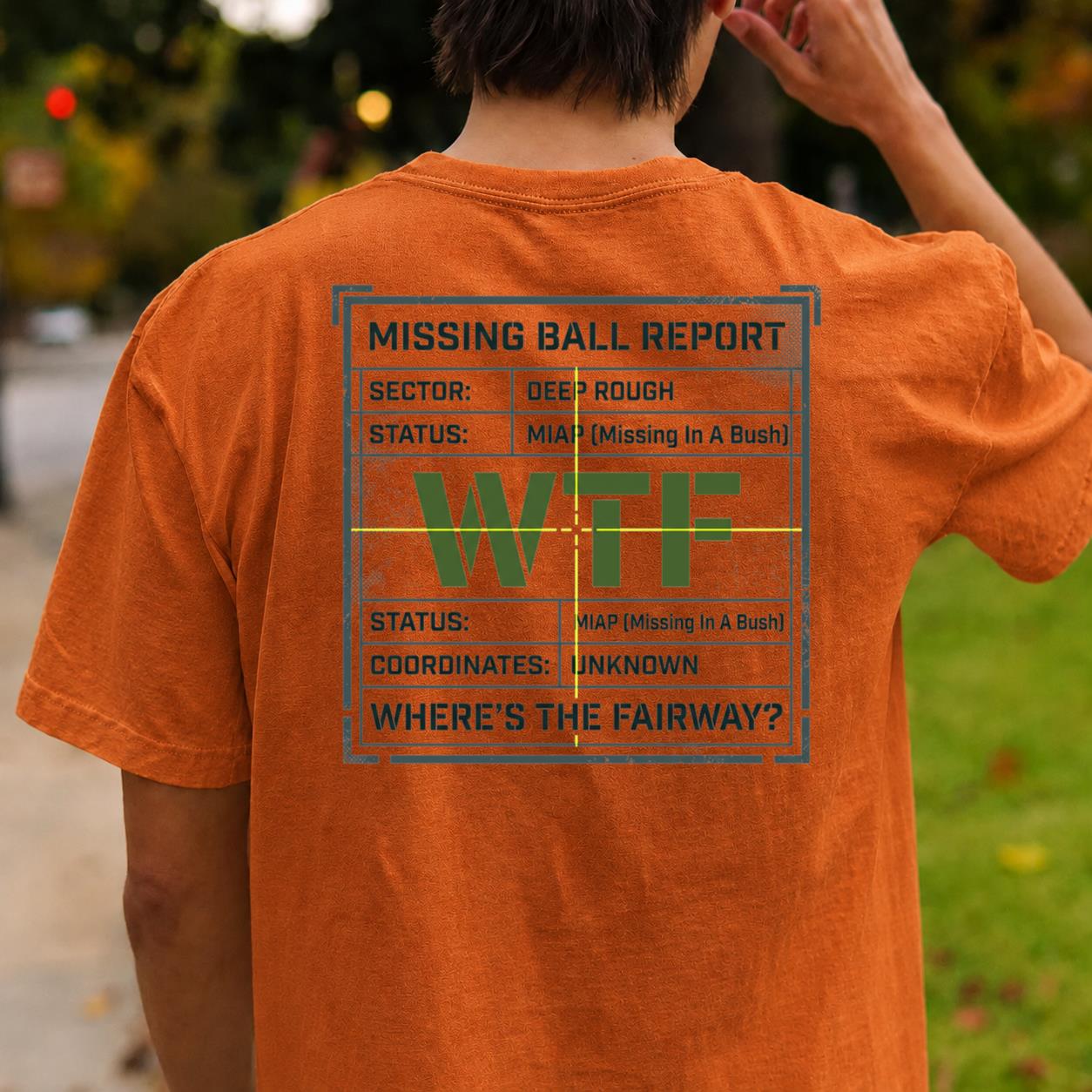 Missing Ball Report