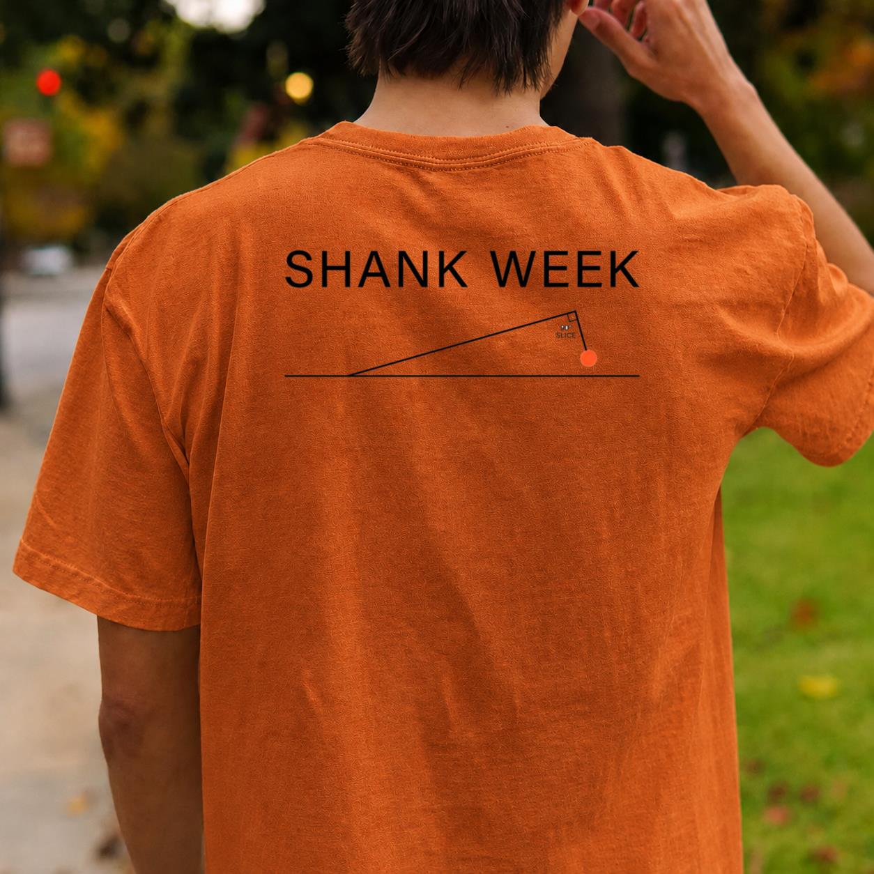 Shank Week Geometry
